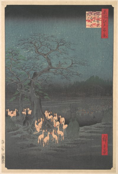 Shozokuenoki Tree at Oji: Fox-fires on New Year