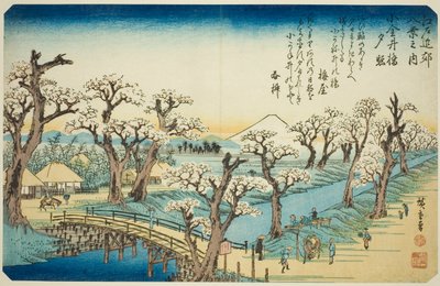 Sunset Glow at Koganei Bridge, from the series 
