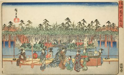Wisteria at Kameido, from the series 