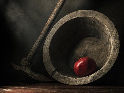 Dark Pomegranate Still Life by Vadim Kulinsky