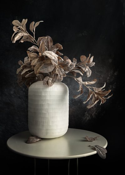 Quiet Botanical Still Life by Vadim Kulinsky