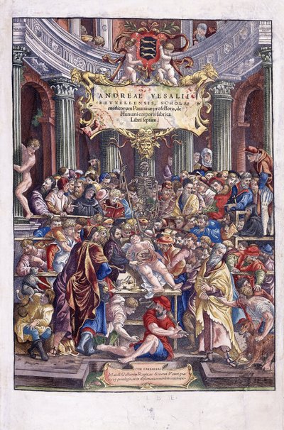 Flemish anatomist and physician, Andreas Vesalius, giving a lesson at the school of medicine in Brussels by Venetian School