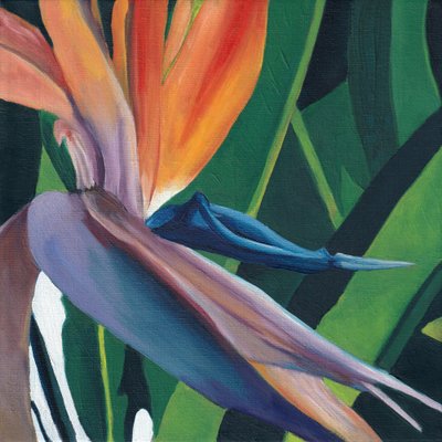 Vibrant Bird of Paradise by Viccy Wanliss