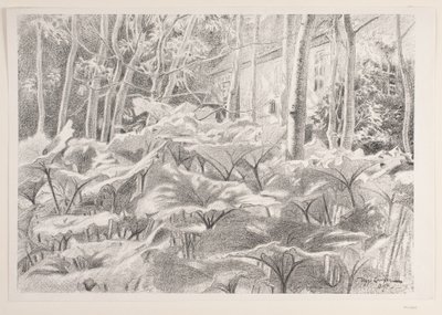 From a Garden by Viggo Langer