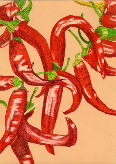 Spicy Red Peppers by Viktoriia Saunina
