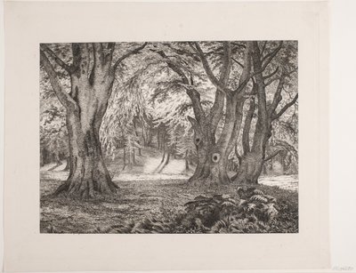 The Interior of a Forest by Vilhelm Kyhn