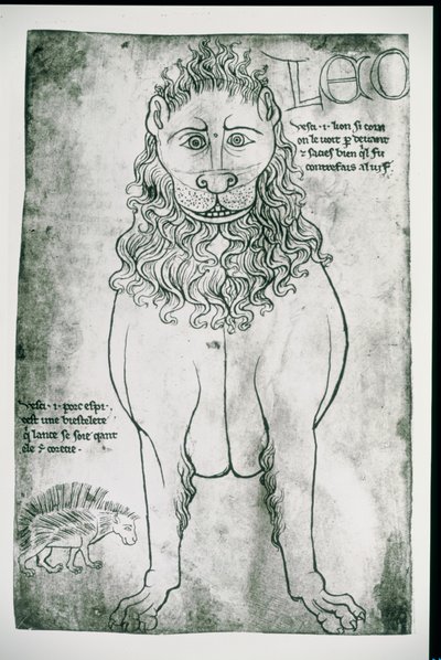 Lion and Porcupine (facsimile) by Villard de Honnecourt