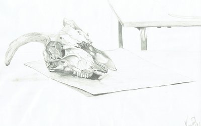 Skull by Vincent Alexander Booth