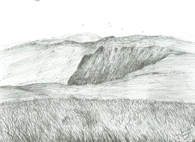 Slopes of Hartfell by Vincent Alexander Booth