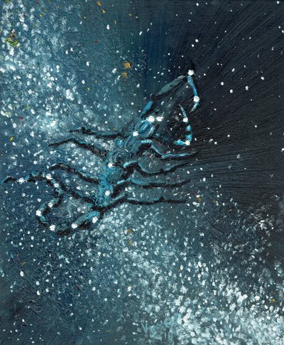 Star Sign Scorpio by Vincent Alexander Booth