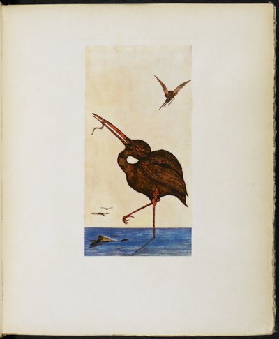 The Brown Willy, from 