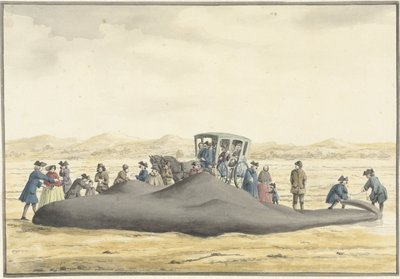 Stranded Sperm Whale on the Beach between Zandvoort and Wijk aan Zee, February 20, 1762, Seen from the Back by Vincent Jansz. van der Vinne