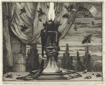 Flies Attracted to the Light of a Candle by Vincent Laurensz. van der Vinne (II)