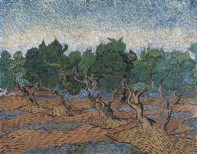 Olive Grove. 1889 by Vincent van Gogh