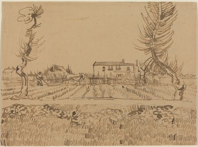 Ploughman in the Fields near Arles by Vincent van Gogh