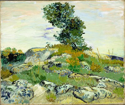 The Rocks by Vincent van Gogh