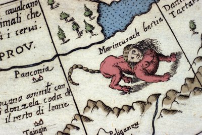 Representation of a manticore, a fantastic creature with a human head (often with horns, blue eyes and three rows of teeth), and a scorpion or dragon tail and a lion body. Detail of a world map by Vincenzo Coronelli (1650-1718). 17th century by Vincenzo Maria Coronelli