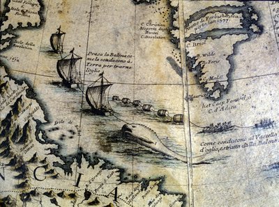 Whaling: the whale is brought ashore to extract oil. From Coronelli