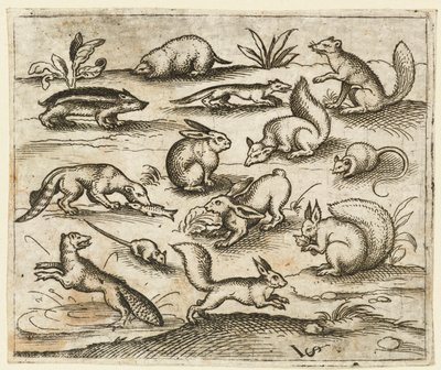 Group of Small Woodland Creatures Eating and Running Around a Pond, including a Mouse, 1557 by Virgil Solis