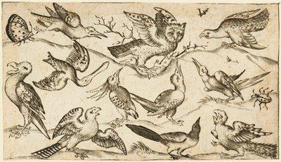 Eleven birds and two insects on minimal ground with owl with wings outstretched sitting on a branch in centre with other birds surrounding and teasing owl, from Douce Ornament Prints Album I, after 1572 by Virgilius the elder (after) Solis