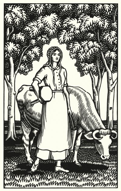 Illustration for Tess Of The D