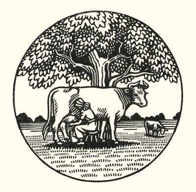 Illustration for Tess Of The D