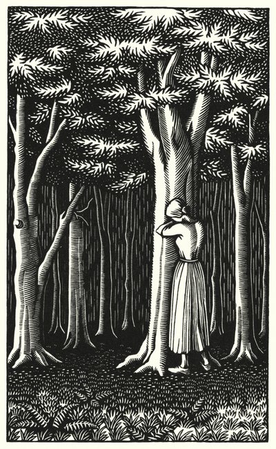 Illustration for Tess Of The D