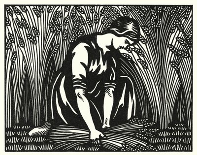 Illustration for Tess of the d
