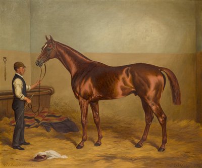 Sir Hugo as a three-year-old held by Groom in a Stable by W.H. Hopkins