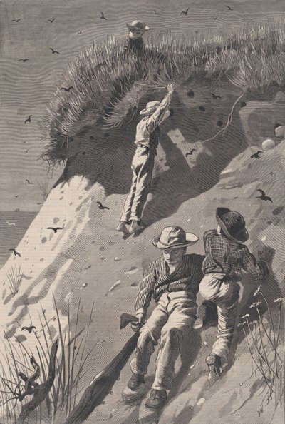 Raid on a Sand-swallow Colony - How Many Eggs Harper