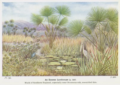 An Eocene Landscape by W. J. Stokoe