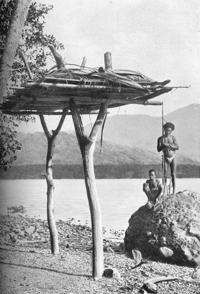 Mortuary platform in New Guinea, 1902 by W. Lindt