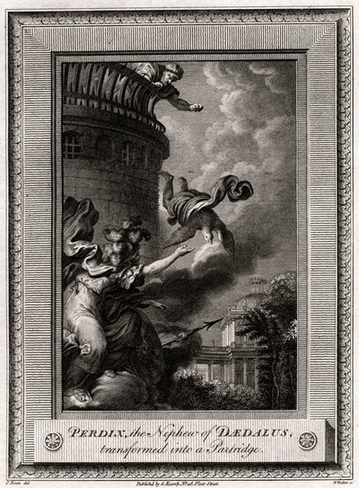 Perdix, the Nephew of Daedalus, Transformed into a Partridge, 1774 by W. Walker