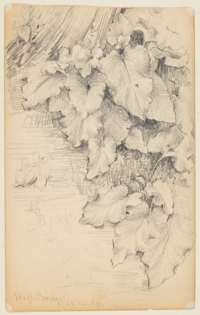 Study of Plants at the Edge of Water, High Bridge by Walter Clark
