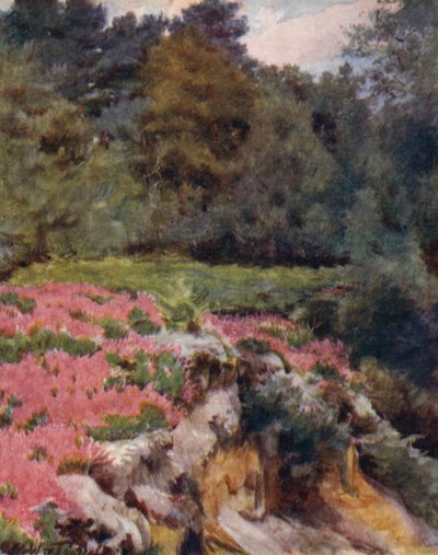 The New Forest: A Gravel Pit Head at Royden by Walter Frederick Roofe Tyndale