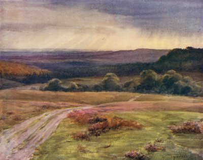 The New Forest: Boldrewood Walk, Puck Pitts, from the Fritham Road by Walter Frederick Roofe Tyndale