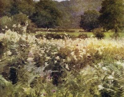 The New Forest: Meadow Sweet near Royden by Walter Frederick Roofe Tyndale