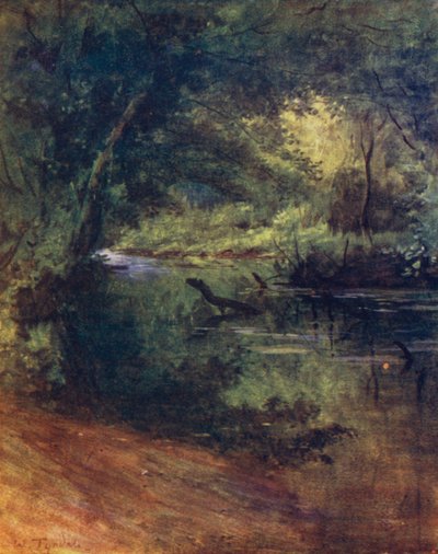 The New Forest: Northgate, near Culverley, in the Lodge Walk by Walter Frederick Roofe Tyndale