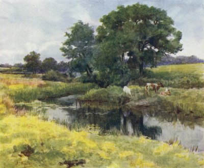 The New Forest: On the Lymington River by Walter Frederick Roofe Tyndale