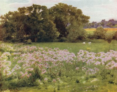 The New Forest: Riversdale, Boldre by Walter Frederick Roofe Tyndale