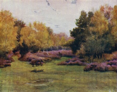 The New Forest: Rushpole Wood, Lyndhurst by Walter Frederick Roofe Tyndale