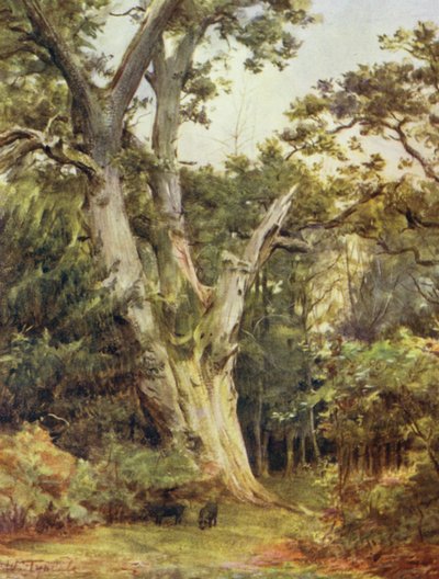 The New Forest: The King at Boldrewood by Walter Frederick Roofe Tyndale