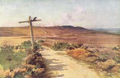 Wessex: Bere Heath in autumn, with Gallows Hill in the distance by Walter Frederick Roofe Tyndale