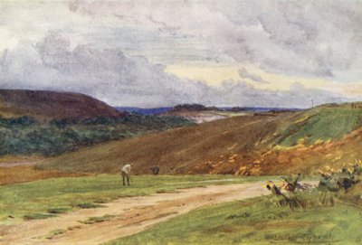 Wessex: The Broadstone Golf Links, near Poole by Walter Frederick Roofe Tyndale