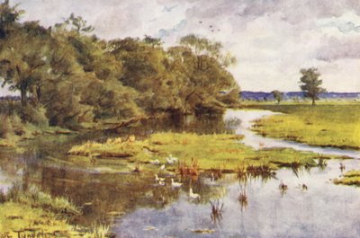 Wessex: The Frome from Bockhampton Bridge by Walter Frederick Roofe Tyndale