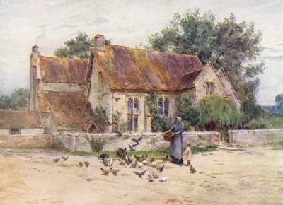 Wessex: Woodlands near Mere, Wilts by Walter Frederick Roofe Tyndale