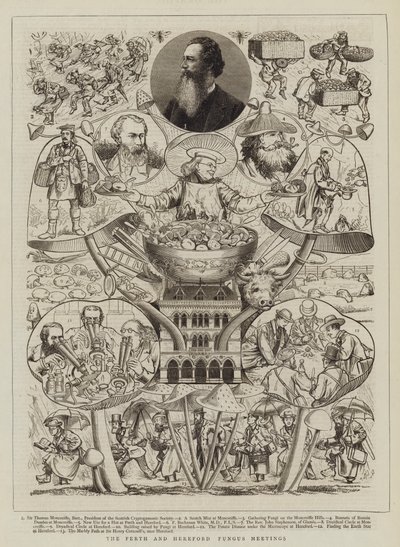 The Perth and Hereford Fungus Meetings by Walter Granville Smith