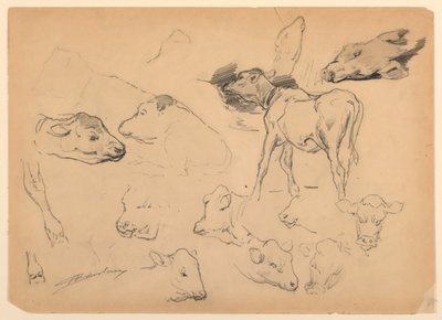 Studies of Cattle, Heads of Sheep and a Hog by Walter Shirlaw