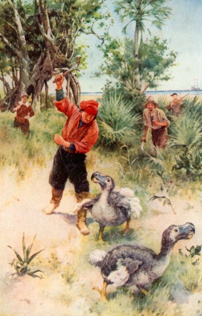 Dutch Sailors Pursuing Dodos by Walter Stanley Paget