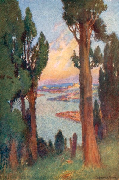 Constantinople and Golden Horn from the Cemetery at Eyoub by Warwick (after) Goble